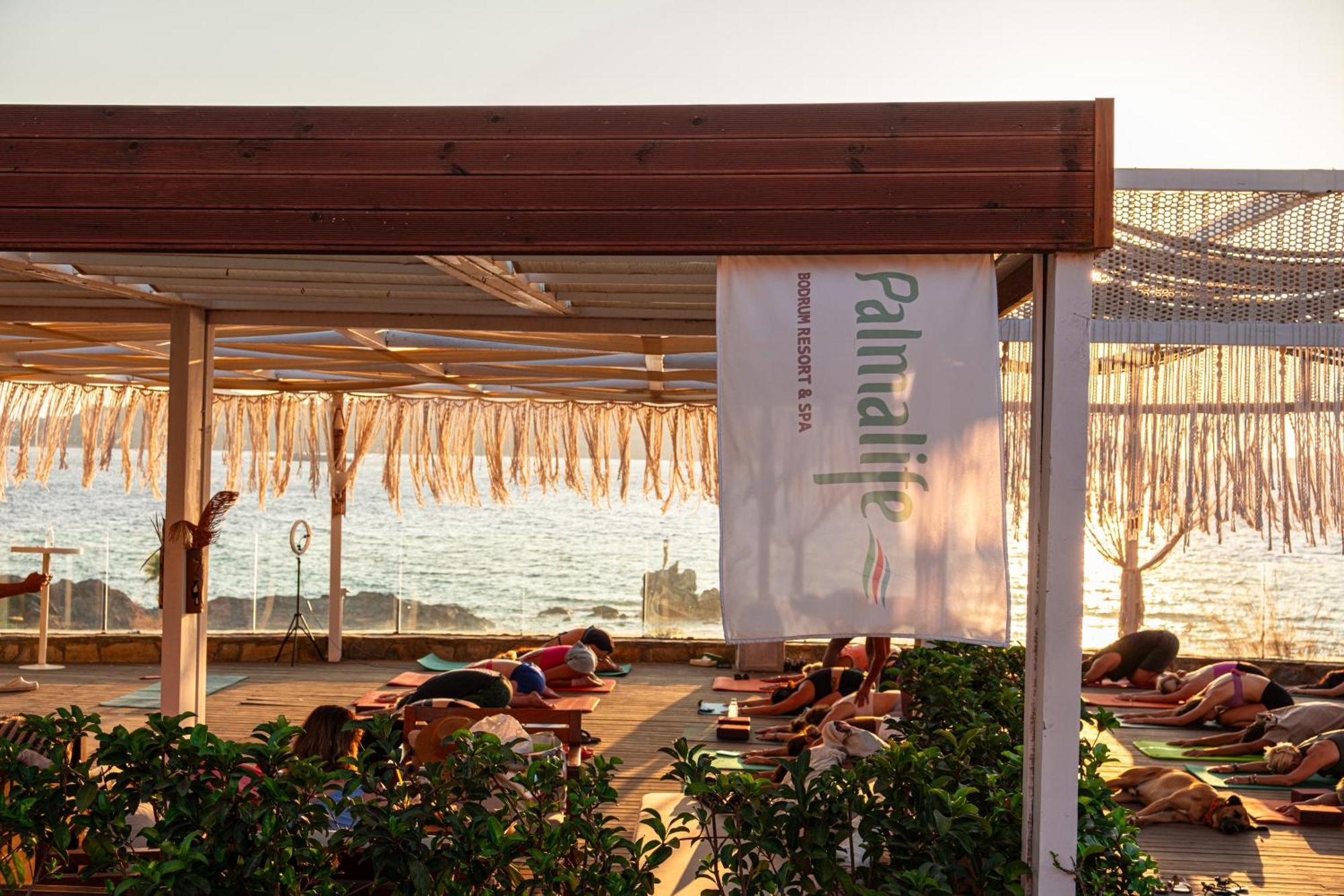 Palmalife Hotel Yalıkavak Kültér fotó